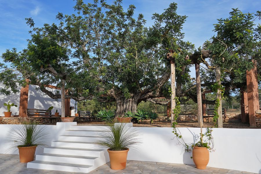 Jardín de Can Vicent d'en Costa